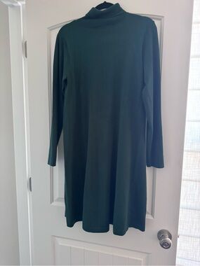 AGB Dark Green Long Sleeve Sweater Turtleneck Dress